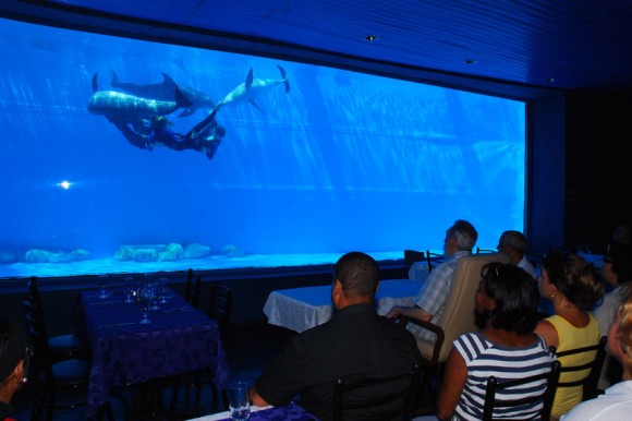 Fidel visita el Acuario Nacional de Cuba. Foto: Estudios Revolución 